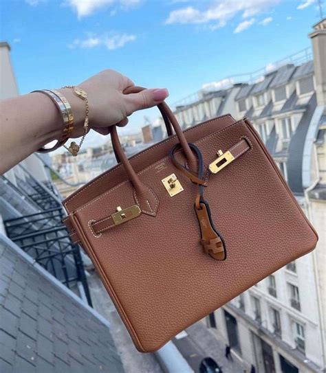 is a birkin bag hermes|hermes birkin bag price 2023.